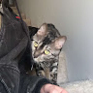 Meet your Posher, Corey